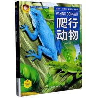 [N]爬行动物(有声版)(精)/聪颖宝贝科普馆-9787531488217