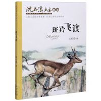 [N]斑羚飞渡(新版)/沈石溪画本-9787556090853