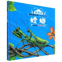 [N]高冷剪刀手(螳螂)(精)/昆虫绘-9787541766305