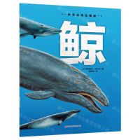 [N]鲸/神奇动物在哪里-9787557877521