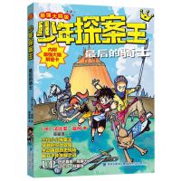 [N]最后的骑士(最强大脑版)/少年探案王-9787539574257