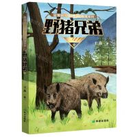 [N]野猪兄弟/雪狼谷动物小说典藏系列-9787537985345