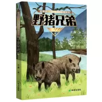 [N]野猪兄弟/雪狼谷动物小说典藏系列-9787537985345