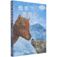 [N]母羊茜露儿/沈石溪世界动物小说典藏-9787530161654