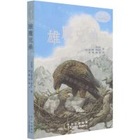 [N]雄鹰兄弟/沈石溪世界动物小说典藏-9787530161630