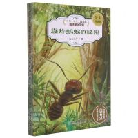 [N]爆炸蚂蚁的秘密(全彩升级版)/动物小说大王沈石溪精读酷玩系列-9787572217555