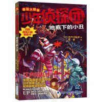 [N]地底下的小丑(最强大脑版)/少年侦探团-9787539575766