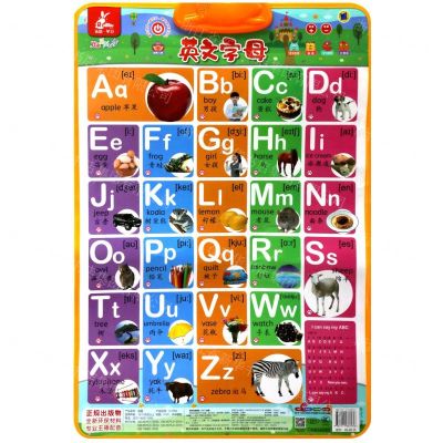 [N]英文字母身体表情/瑞莉兔双面发声大挂图-9787111666936