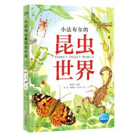 [N]小法布尔的昆虫世界(精)-9787511057792