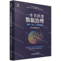 [N]一本书讲透数据治理(战略方法工具与实践)(精)-9787111694489