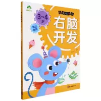 [N]3-4岁右脑开发/左右脑开发-9787554021446