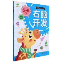 [N]5-6岁右脑开发/左右脑开发-9787554021484