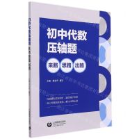 [N]初中代数压轴题(来路思路出路)-9787572011917