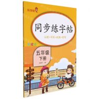 [N]同步练字帖(5下彩绘版)-9787570118793