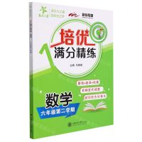 [N]数学(6年级第2学期)/培优满分精练-9787313262479