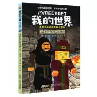 [N]城堡里的男巫师/史蒂夫和爱丽克丝大冒险/我的世界-9787533785901