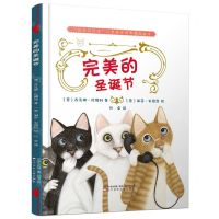 [N]完美的圣诞节(精)/成长与交往儿童情商培养纯美绘本-9787531589556