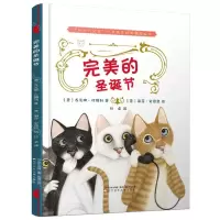 [N]完美的圣诞节(精)/成长与交往儿童情商培养纯美绘本-9787531589556