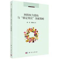 [N]网络权力重构与锁定效应突破策略-9787030704474