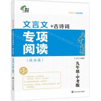 [N]文言文专项阅读(技法篇9年级+中考版第3版)/高分阅读-9787305255014