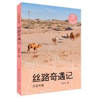 [N]丝路奇遇记/行走中国-9787501617890