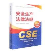 [N]安全生产法律法规(2022版中级全国中级注册安全工程师职业资格考试辅导教材)-9787502093594