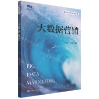 [N]大数据营销(数字经济与数智管理)-9787300306384