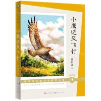 [N]小鹰逆风飞行(朗读版)/新时代儿童文学获奖大系-9787501619184