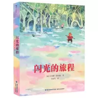 [N]闪光的旅程(精)-9787555029946