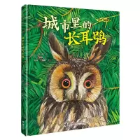 [N]城市里的长耳鸮(精)/我的飞鸟朋友-9787544878593
