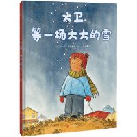 [N]大卫等一场大大的雪(精)-9787559664211