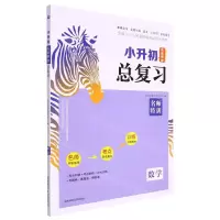 [N]数学/小升初名师帮你总复习-9787564847180
