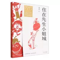 [N]住在先生小姐城/全国儿童文学大奖书系-9787530163559
