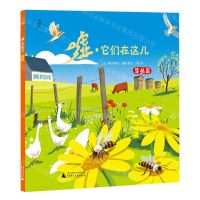 [N]嘘它们在这儿(草丛篇)-9787559853554