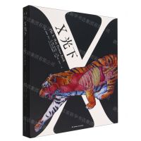 [N]X光下(共2册)-9787571514839