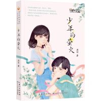 [N]少年的萤火/生命的光亮儿童生命教育小说-9787572128387