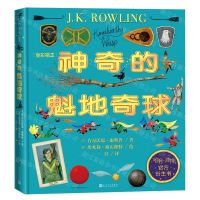[N]神奇的魁地奇球(全彩绘本)(精)-9787020176090