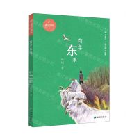 [N]有羊东来/希望童年-9787537987394