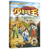 [N]野长城探奇/少年冒险王-9787550518186