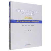 [N]中国地方政府投融资平台转型发展研究(2022多元化融资格局视角下的城投转型)-9787509689233