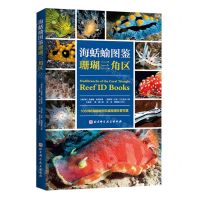 [N]海蛞蝓图鉴(珊瑚三角区)-9787571425746