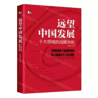 [N]远望中国发展(十大领域的战略分析)/光华思想力-9787301333662