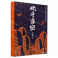 [N]北斗当空/战火中的少年传奇-9787511063526