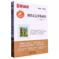 [N]钢铁是怎样炼成的(无障碍导读本)/语文爱阅读-9787040594775