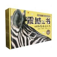 [N]震撼之书(第一辑共4册)-7511202301
