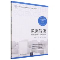 [N]数据智能(数据处理与管理实践全国高等学校计算机教育研究会十四五系列教材)-9787302640929
