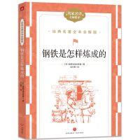 [N]钢铁是怎样炼成的(名家名译名师精评)/经典名著全本全解版-9787545574975