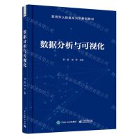 [N]数据分析与可视化(新商科大数据系列创新型教材)-9787121463211