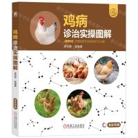 [N]鸡病诊治实操图解(全彩印刷)-9787111737759