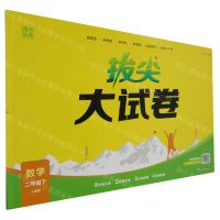 [N]数学(2下人教版)/拔尖大试卷-9787572269165